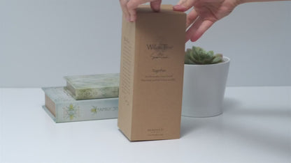 unboxing willow tree together sculpted hand-painted figurine showing original packaging
